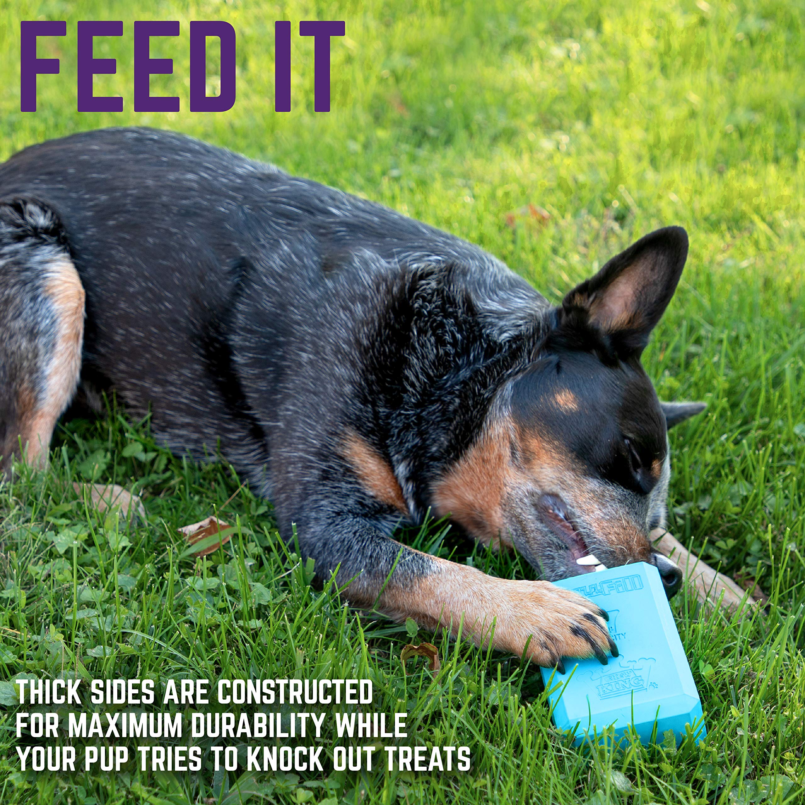 Chew King Chill Fill – disponible en trois tailles pour tous les chiens.
