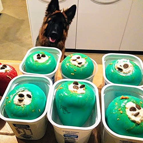Chew King – Couleur bleu-vert: design attrayant pour les chiens.