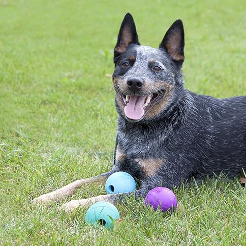 Balle Chew King Fetch de 3 pouces en caoutchouc naturel, durable et sans odeur.