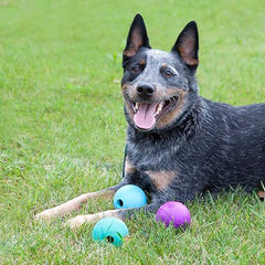 Balle Chew King Fetch de 3 pouces en caoutchouc naturel, durable et sans odeur.
