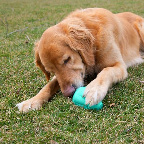 Chew King – caoutchouc naturel sans odeurs, parfait pour chiens actifs.