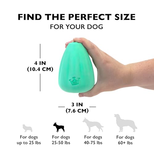 Chew King – évent de sécurité pour ventilation lors des jeux supervisés.