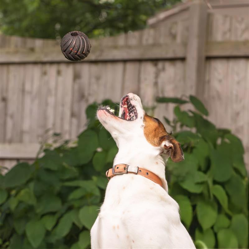 Chew King Supreme balle dure avec ventilation de sécurité facilitant l'aération lors des jeux.