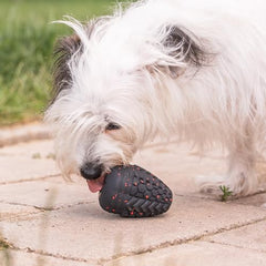 Chew King Supreme: chien mordillant puissamment le jouet.