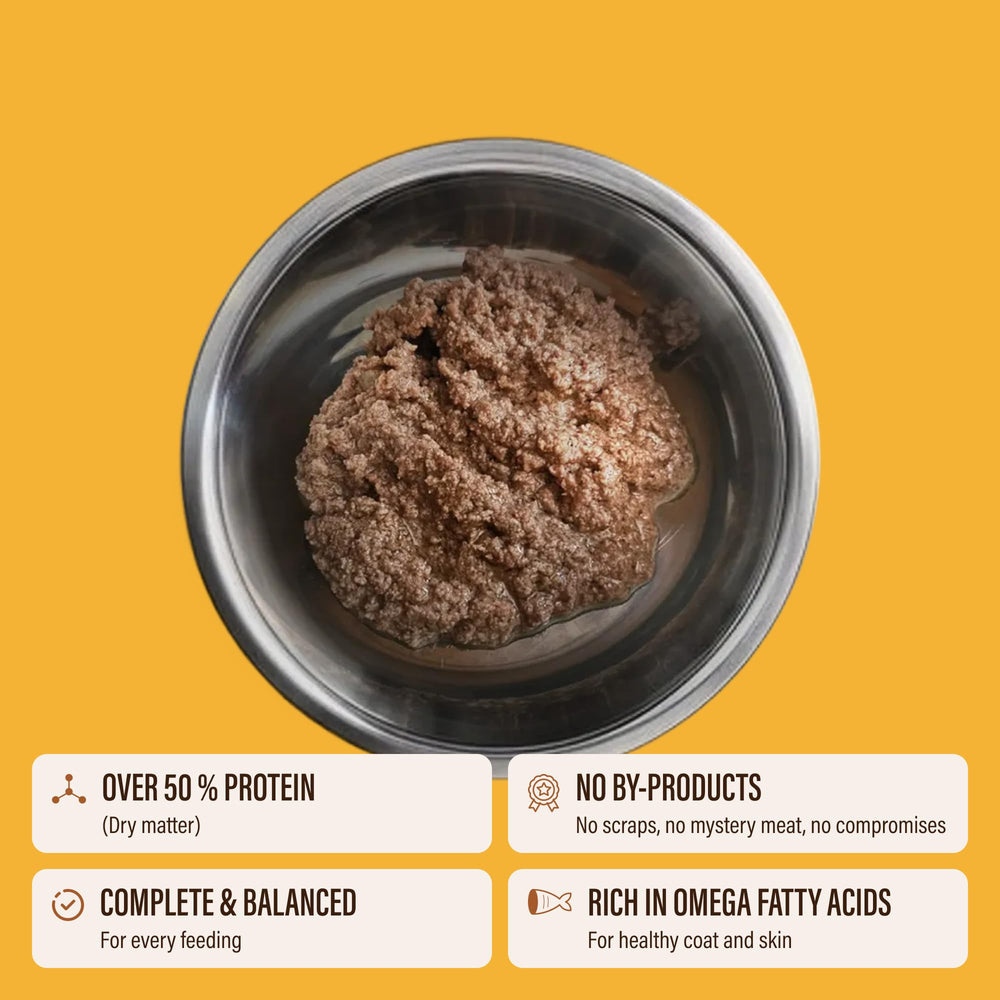 Chewer's Joy pâté poulet-saumon, saveur gourmande et appétit soutenu