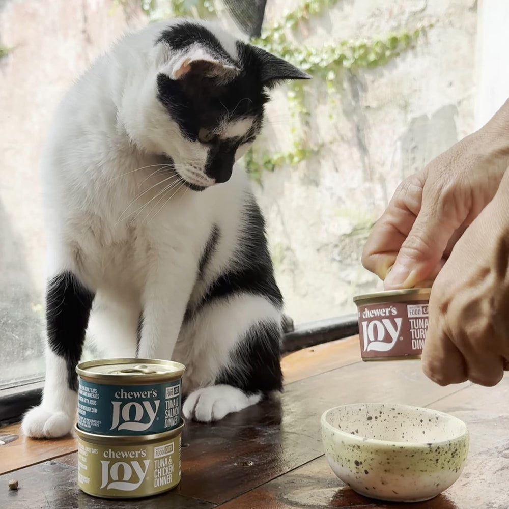 Chewer's Joy servir-sur-croquettes : topper savoureux pour plus de goût