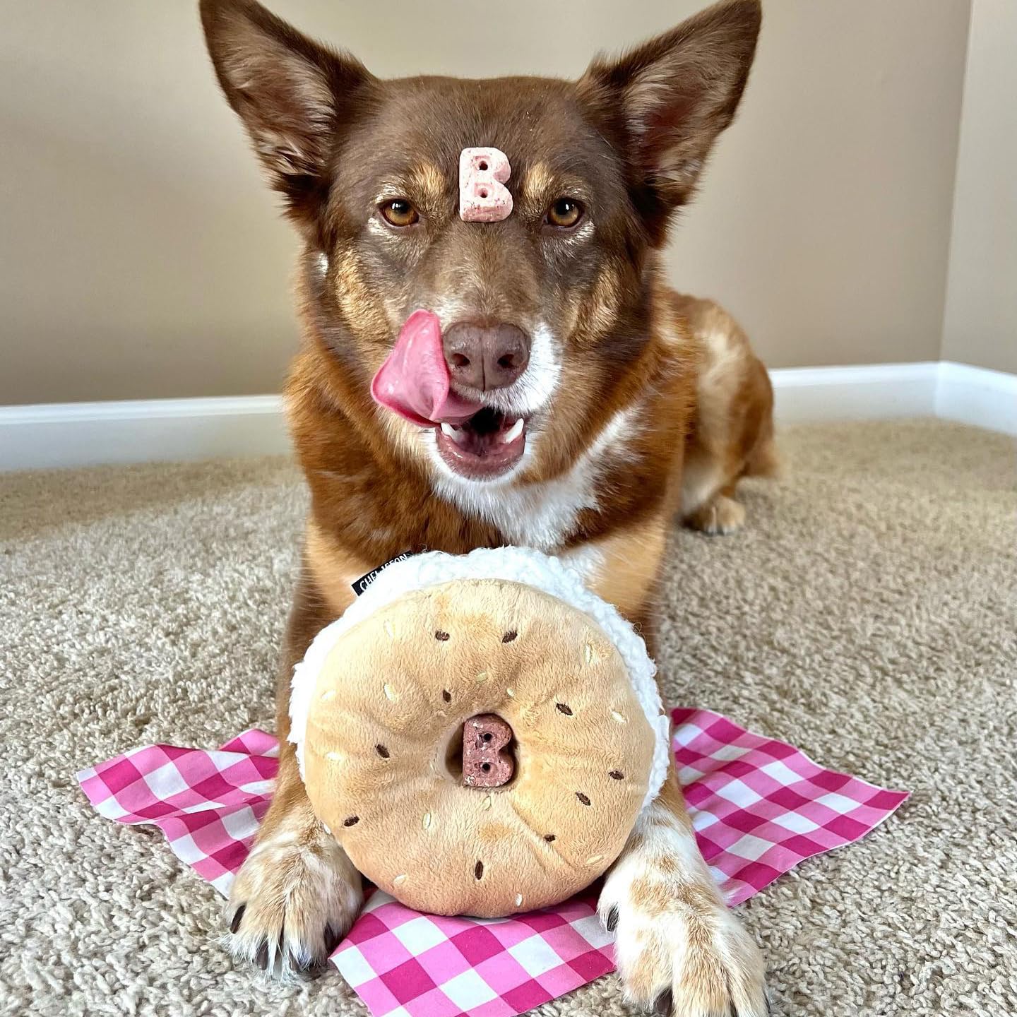 CHEWFFON jeu d’énigme pour forage gourmand et stimulation mentale