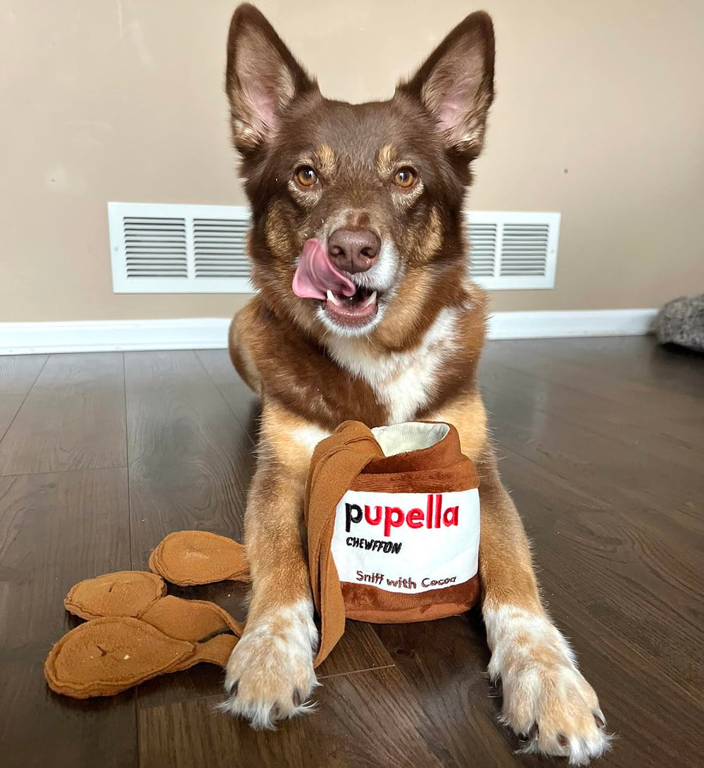 CHEWFFON jouet-chien-nettoyage-facile se nettoie rapidement après le jeu.