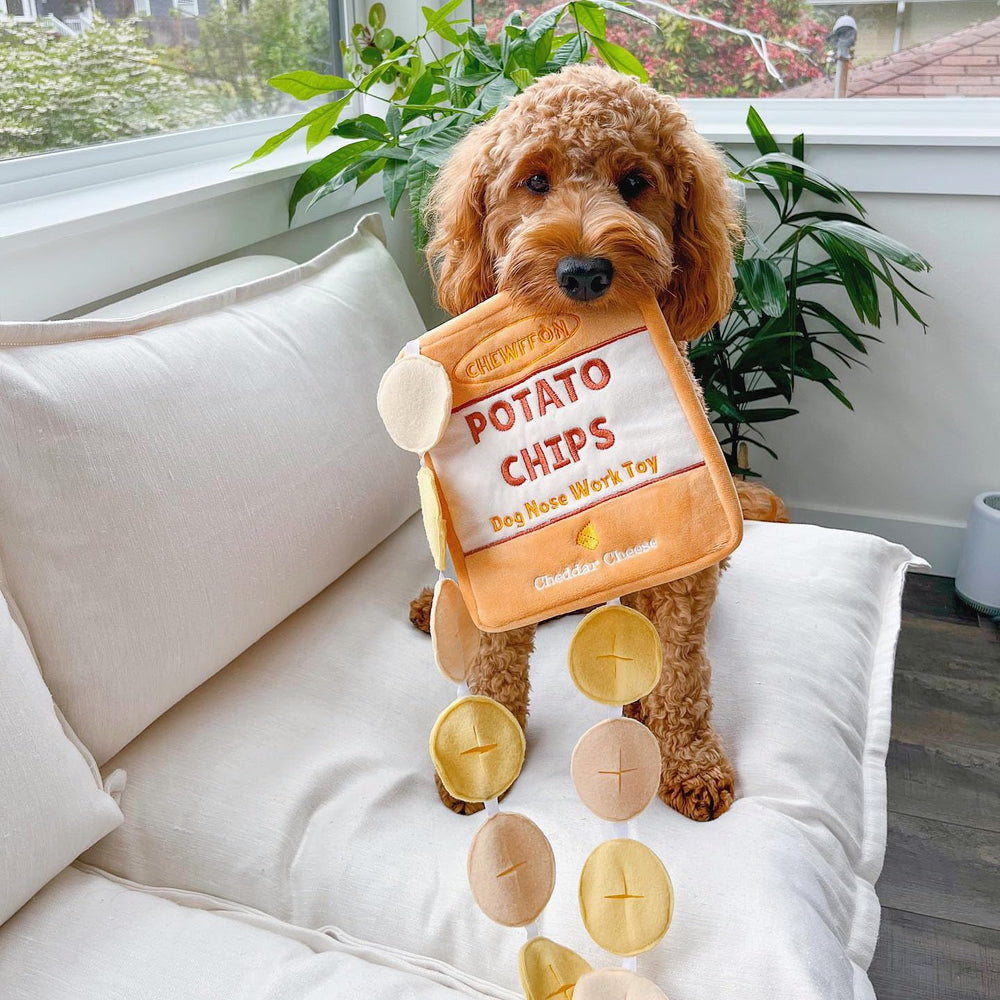 CHEWFFON jouet durable qui maintient l’attention du chien pendant le jeu.