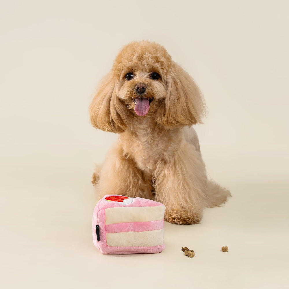 CHEWFFON jouet-enrichissement cognition-petit-chien, encourage la résolution de puzzles.