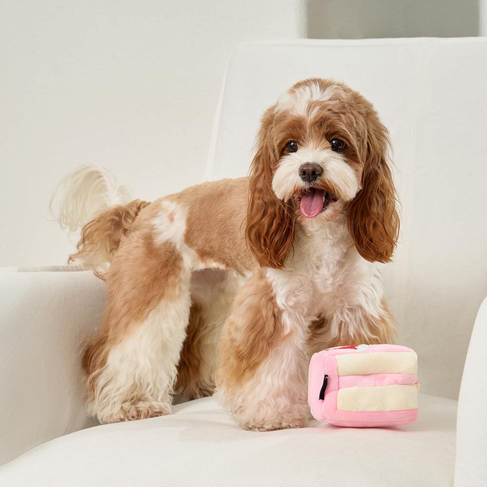 CHEWFFON jouet-enrichissement cognition-petit-chien, idéal pour l’entraînement et le divertissement.