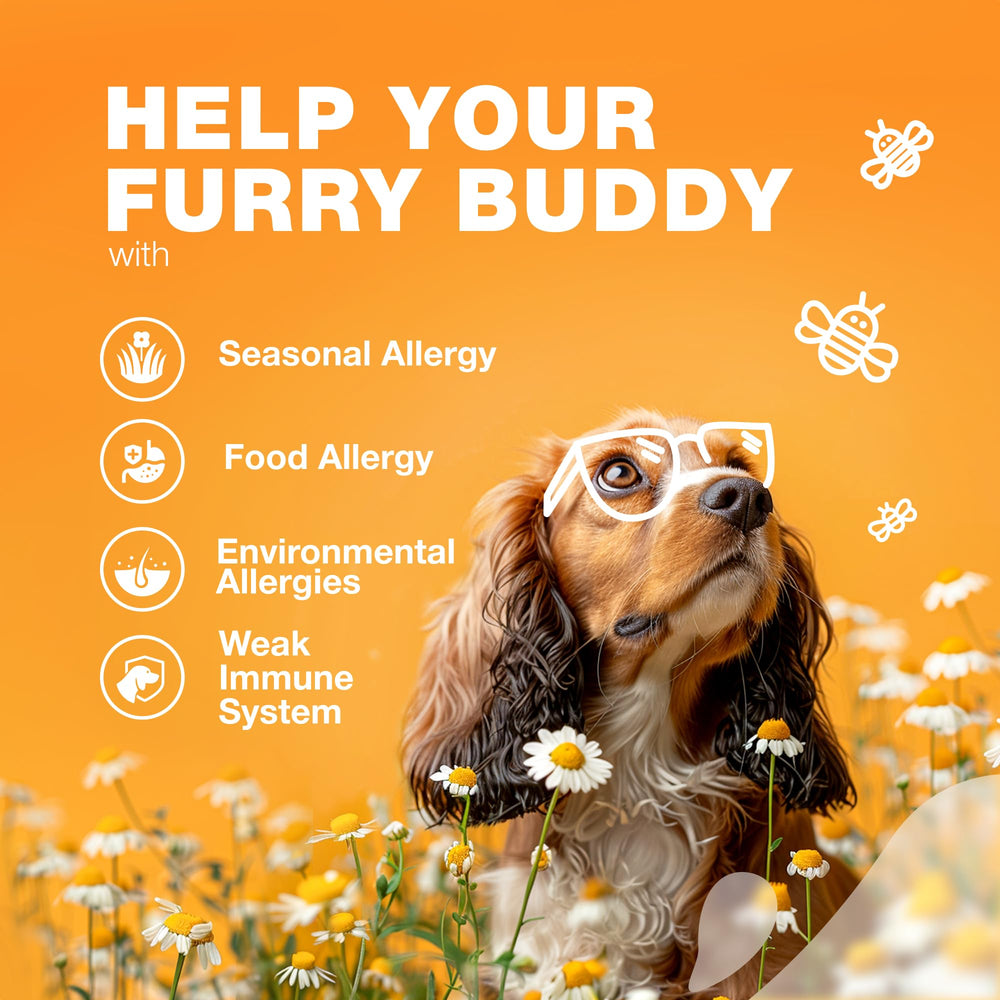 CHEWIA Allergie pour chien – aide à la digestion et bien etre intestinal