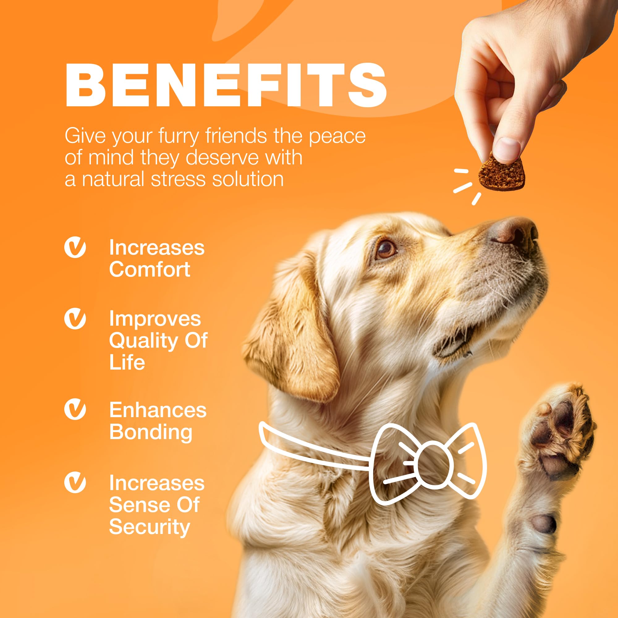 CHEWIA Allergie pour chien – formule américaine de qualité et sécurité