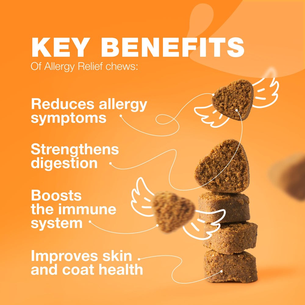CHEWIA Allergie pour chien – peau et pelage brillants avec des ingrédients apaisants