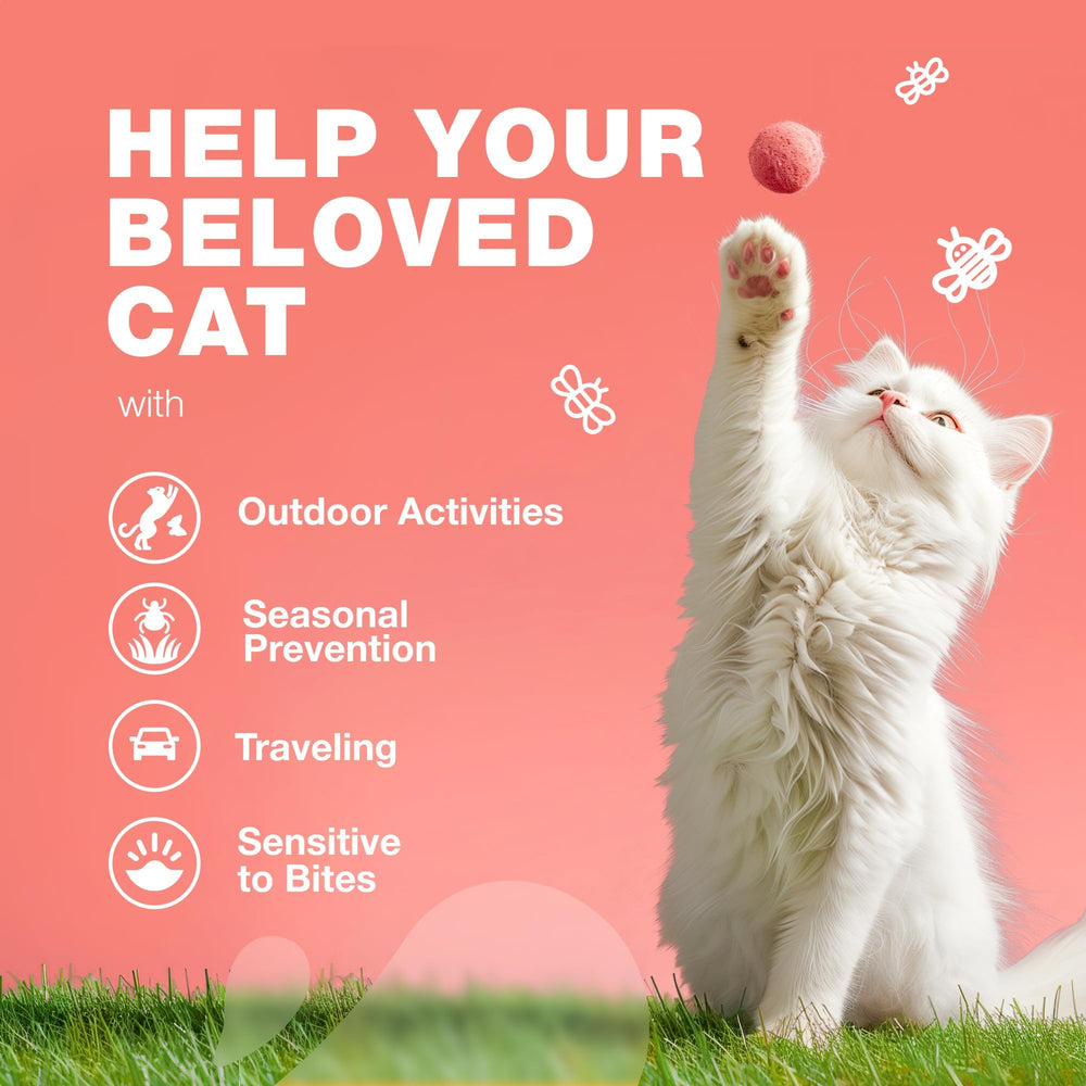 Chat dégustant les friables Chewia au saumon, prévention simple et agréable.