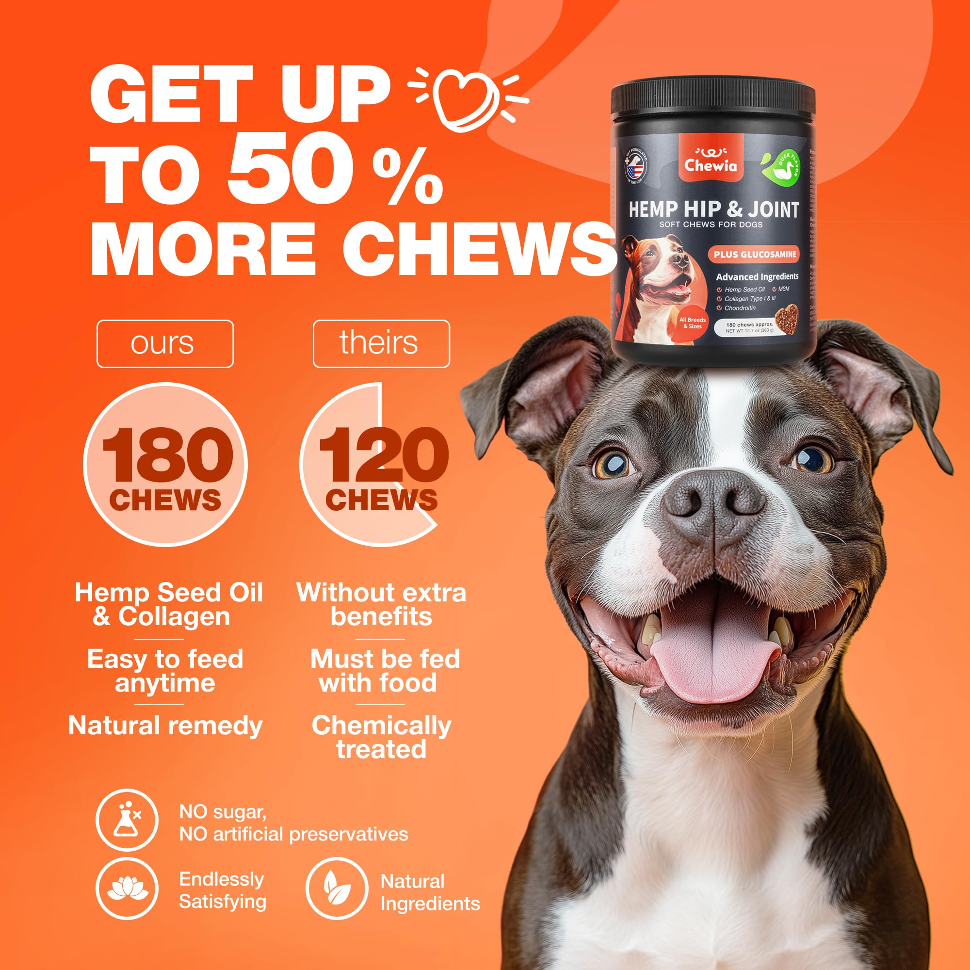 CHEWIA chien actif, mobilité quotidienne améliorée