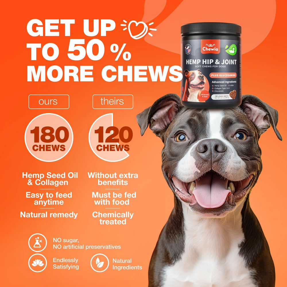 CHEWIA chien actif, mobilité quotidienne améliorée