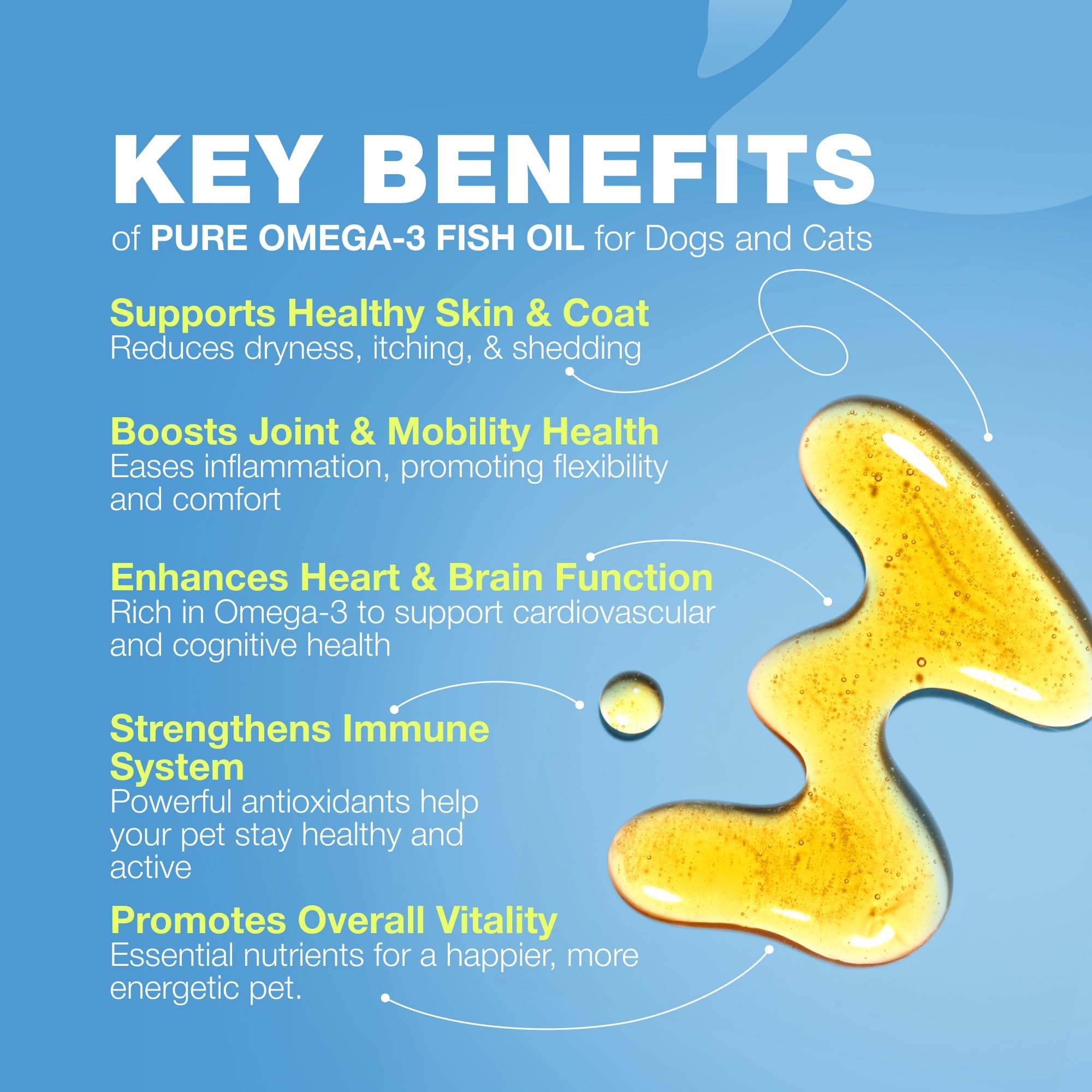 CHEWIA dosage flacon huile poisson — dose simple pour le repas