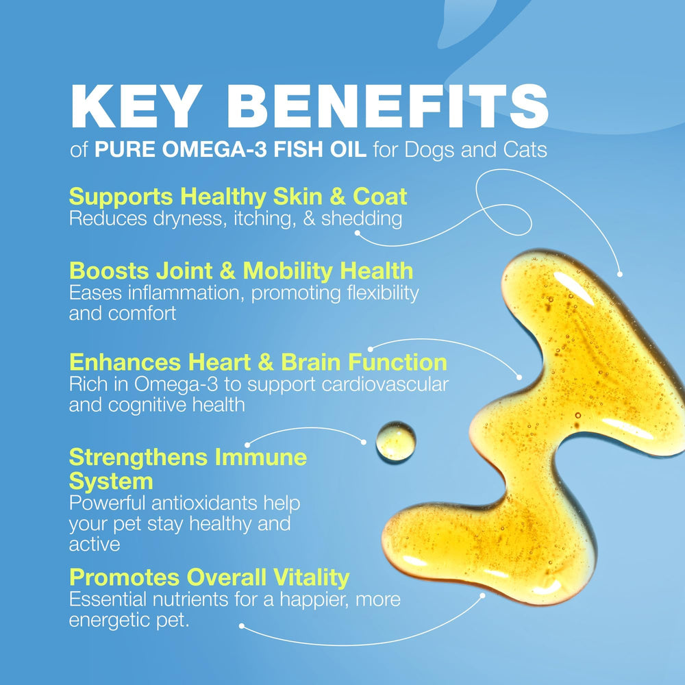 CHEWIA dosage flacon huile poisson — dose simple pour le repas