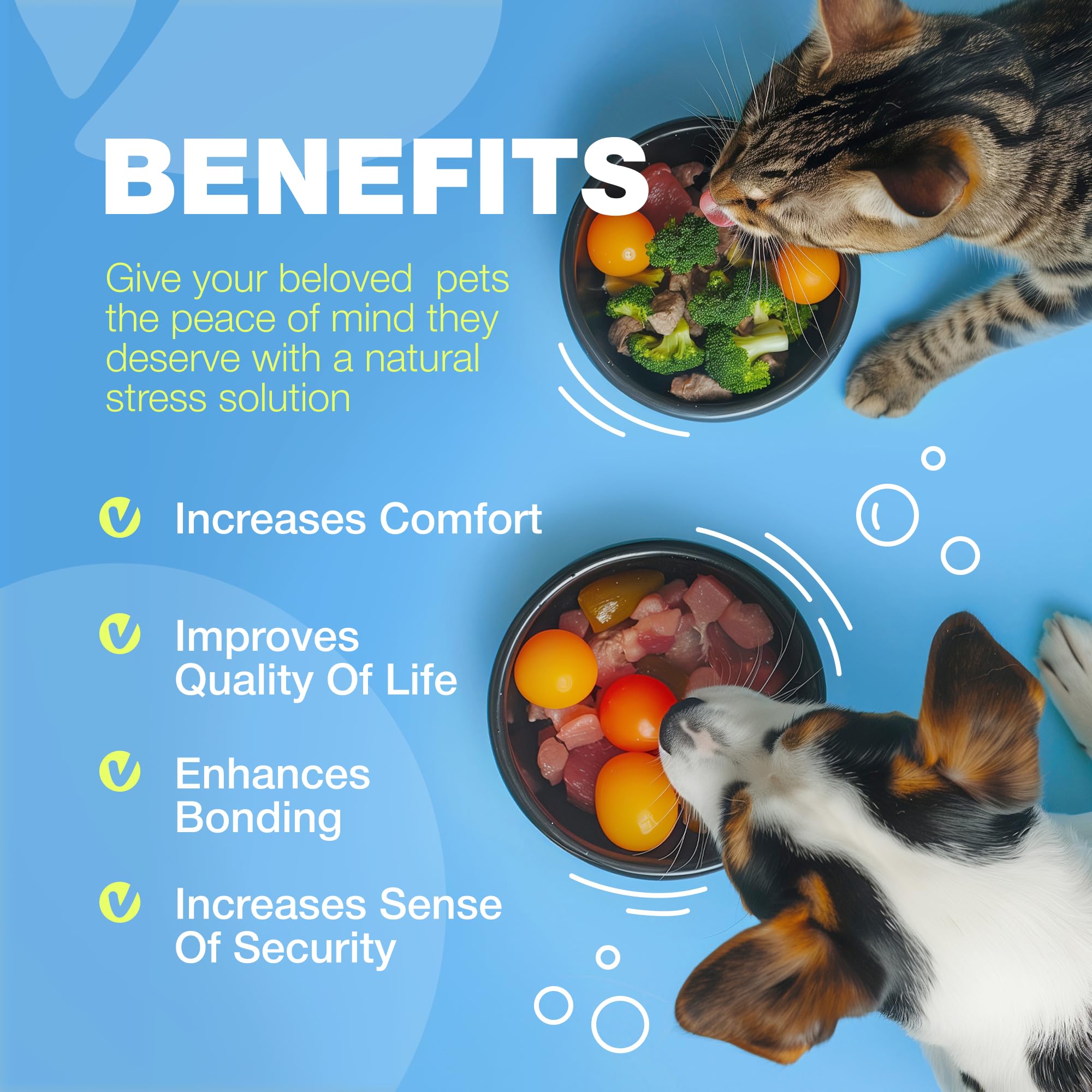 CHEWIA – Format 32 oz, quantité généreuse pour usage continu.