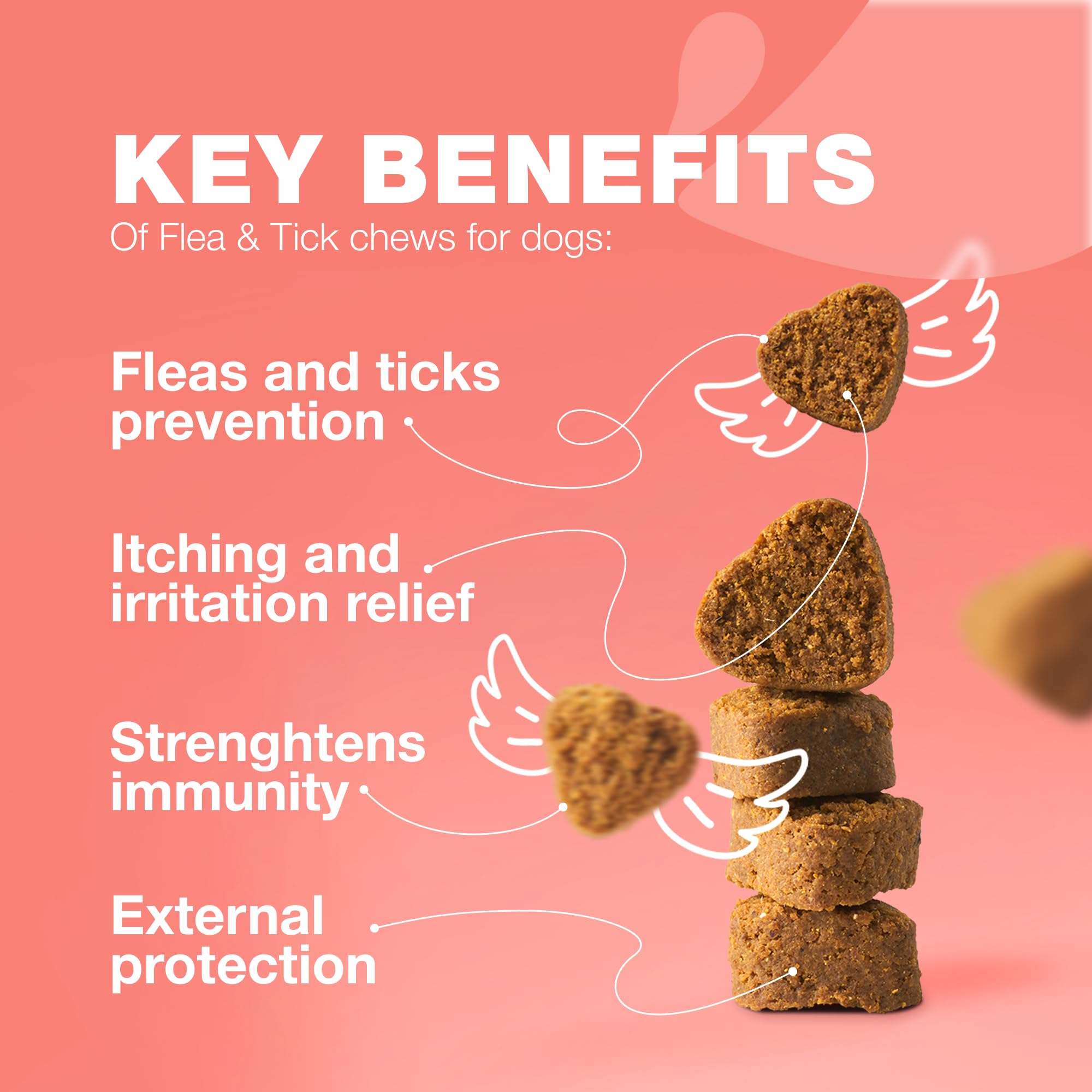 CHEWIA formulation-veto: formulation vétérinaire pour une protection fiable et douce