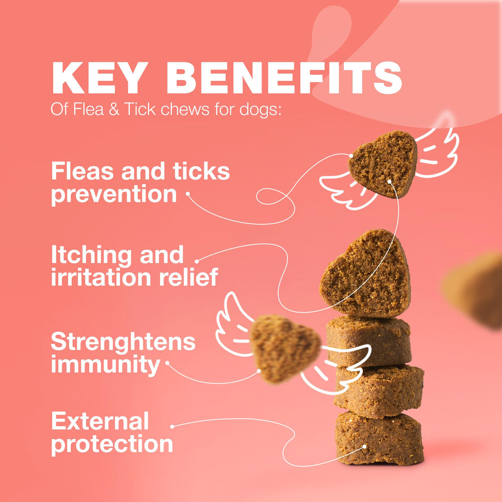 CHEWIA formulation-veto: formulation vétérinaire pour une protection fiable et douce