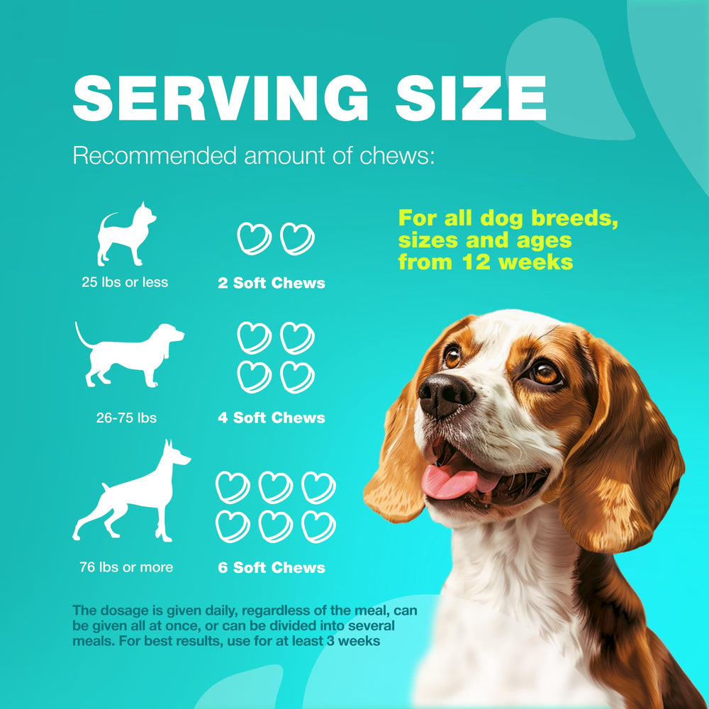 Etiquette CHEWIA claire: promesse sans crottes pour chiens.