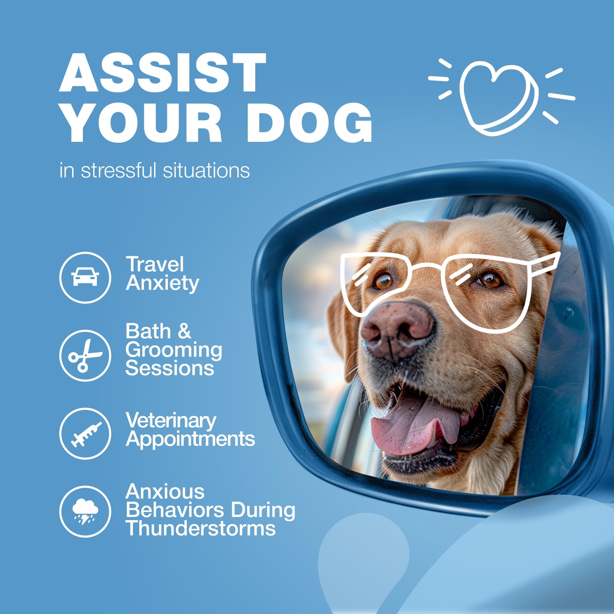 Chien content après avoir goûté les friandises CHEWIA apaisantes