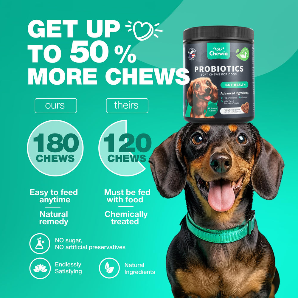 CHEWIA Probiotiques pour chien — appétit et flore intestinale équilibrés.