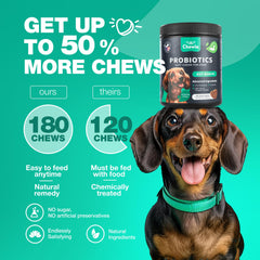 CHEWIA Probiotiques pour chien — appétit et flore intestinale équilibrés.