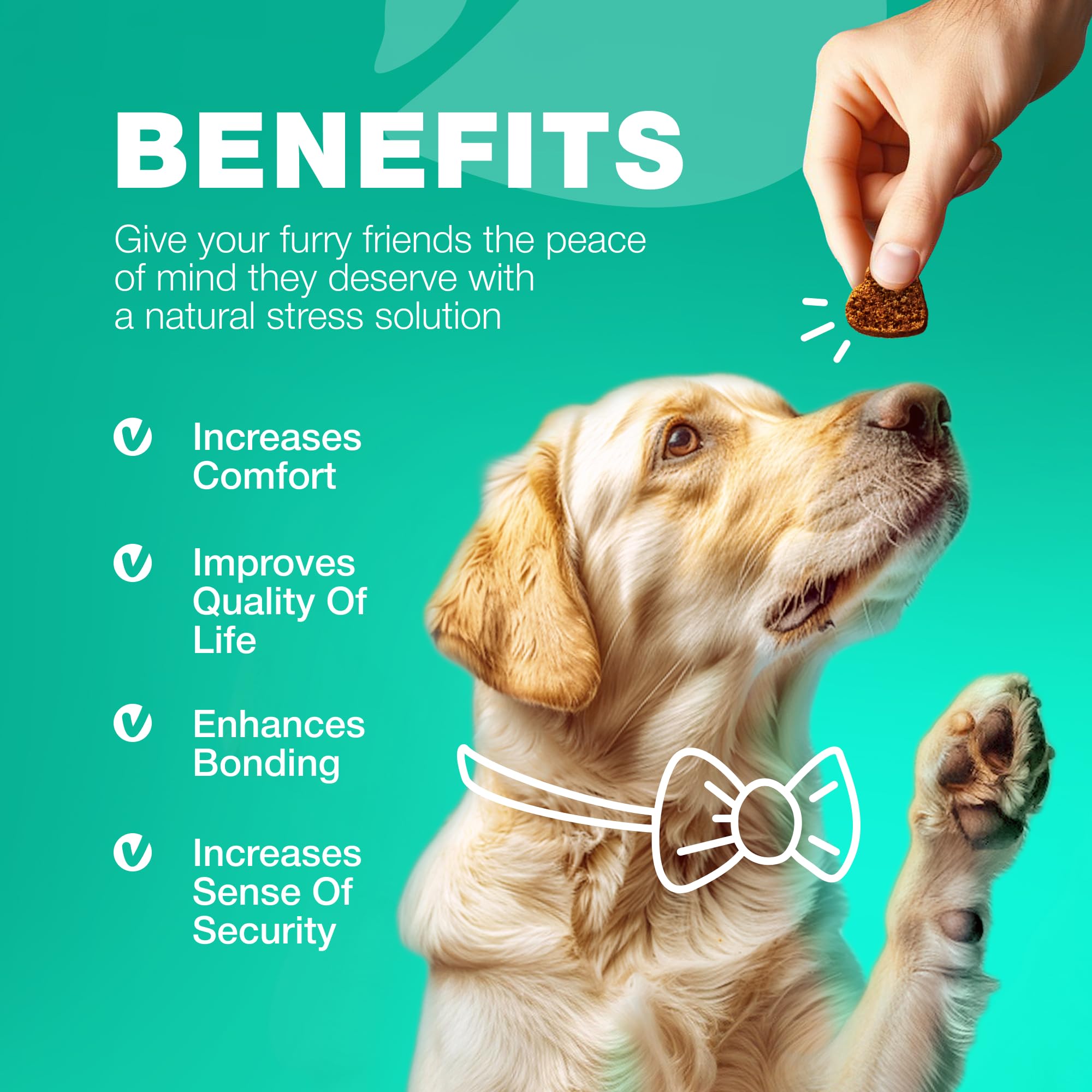 CHEWIA Probiotiques pour chien — friandises douces sans sucre.