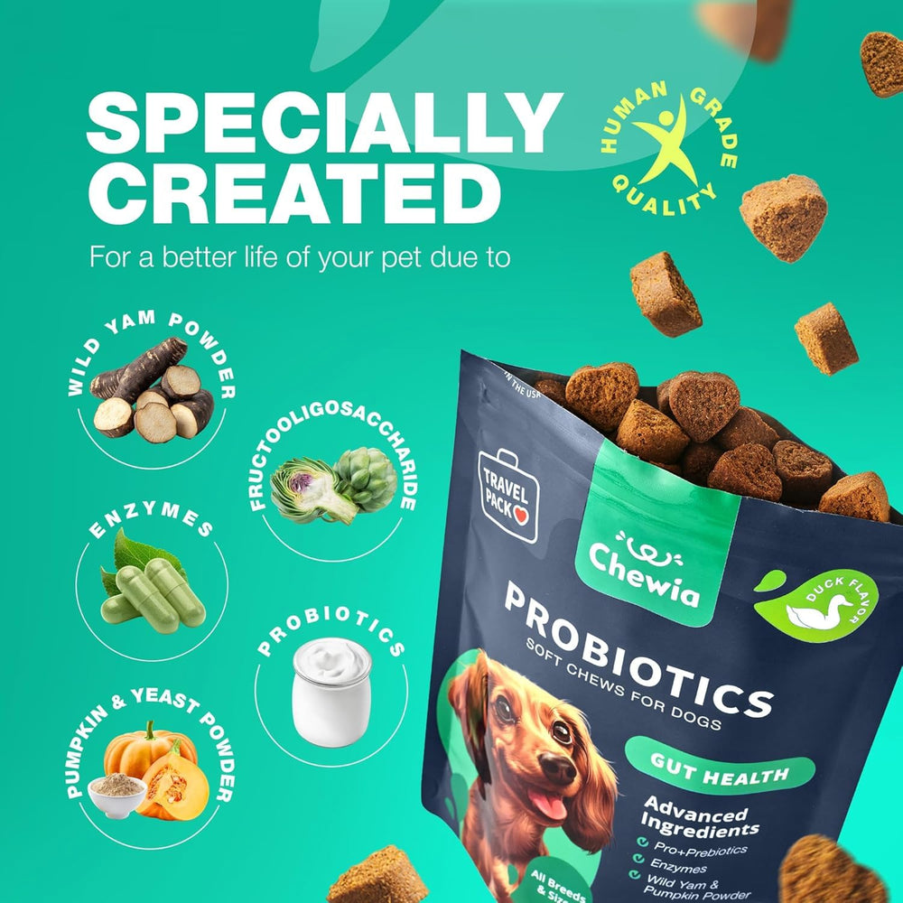 CHEWIA Probiotiques Chien Sante Peau: peut soutenir peau et pelage sains.