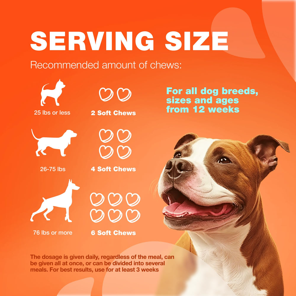 CHEWIA recommandée par vétérinaires, formulation premium pour chiens