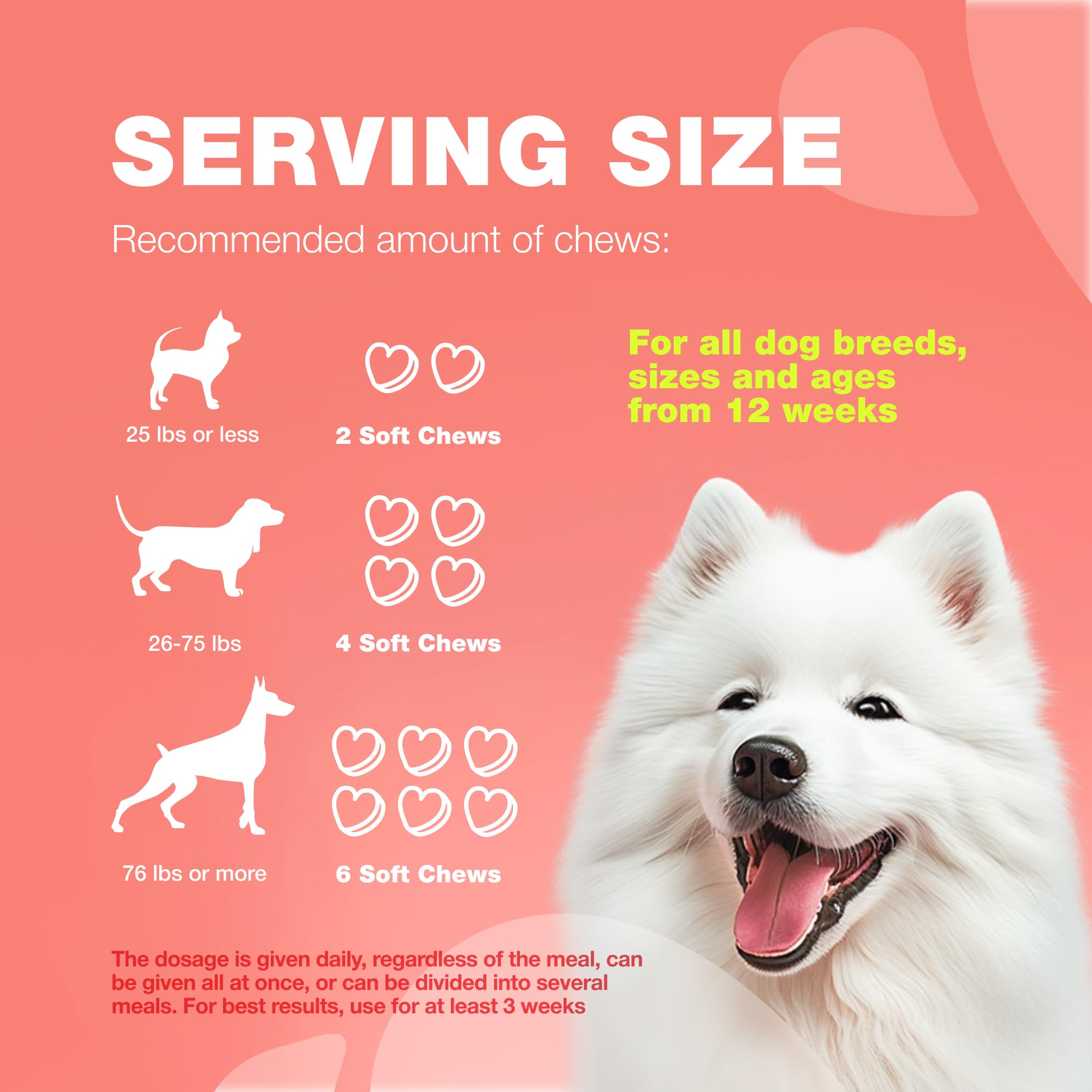 CHEWIA utilisation-quotidienne-facile: intégration simple dans la routine canine