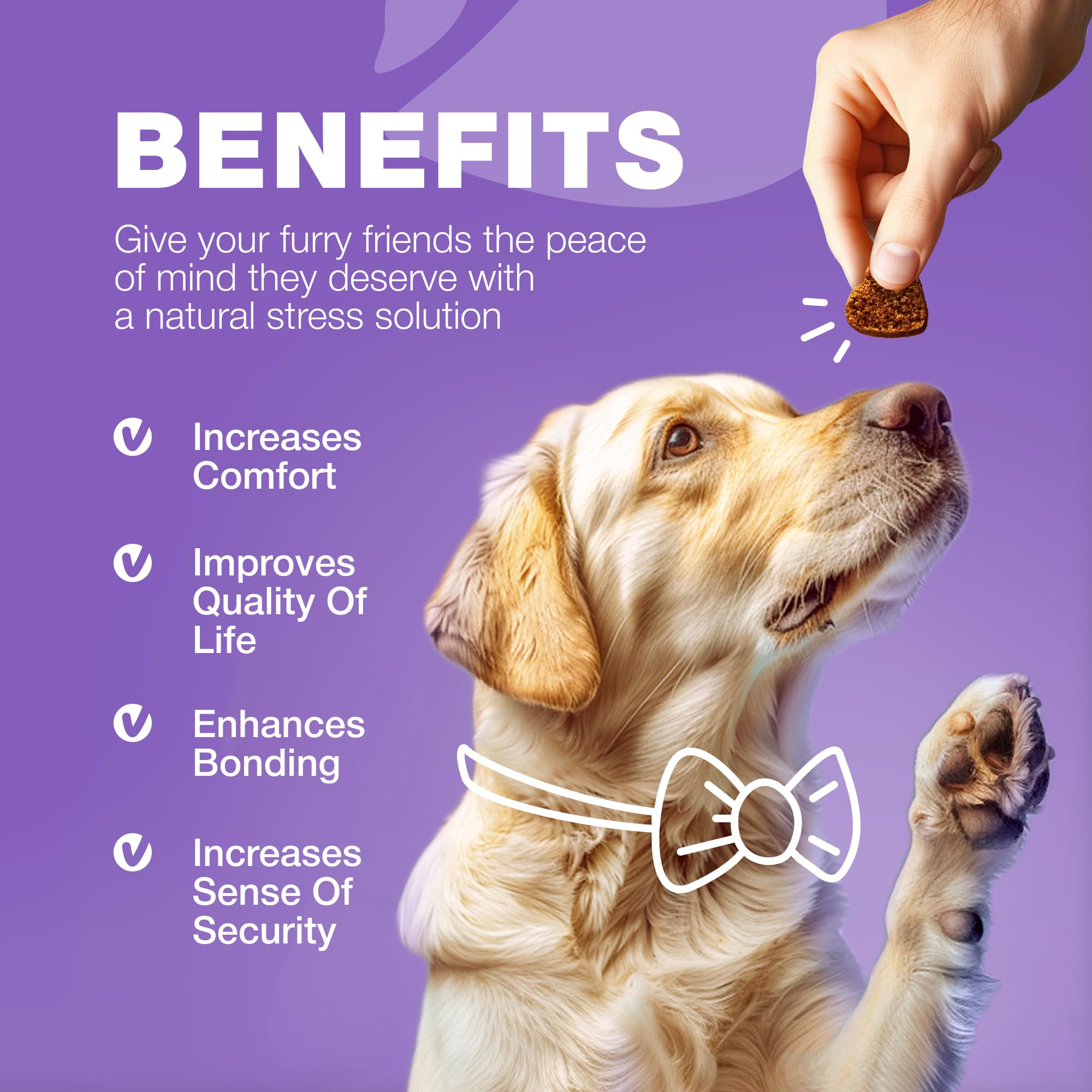 CHEWIA 15 en 1 – texture agréable et routine quotidienne simplifiée.