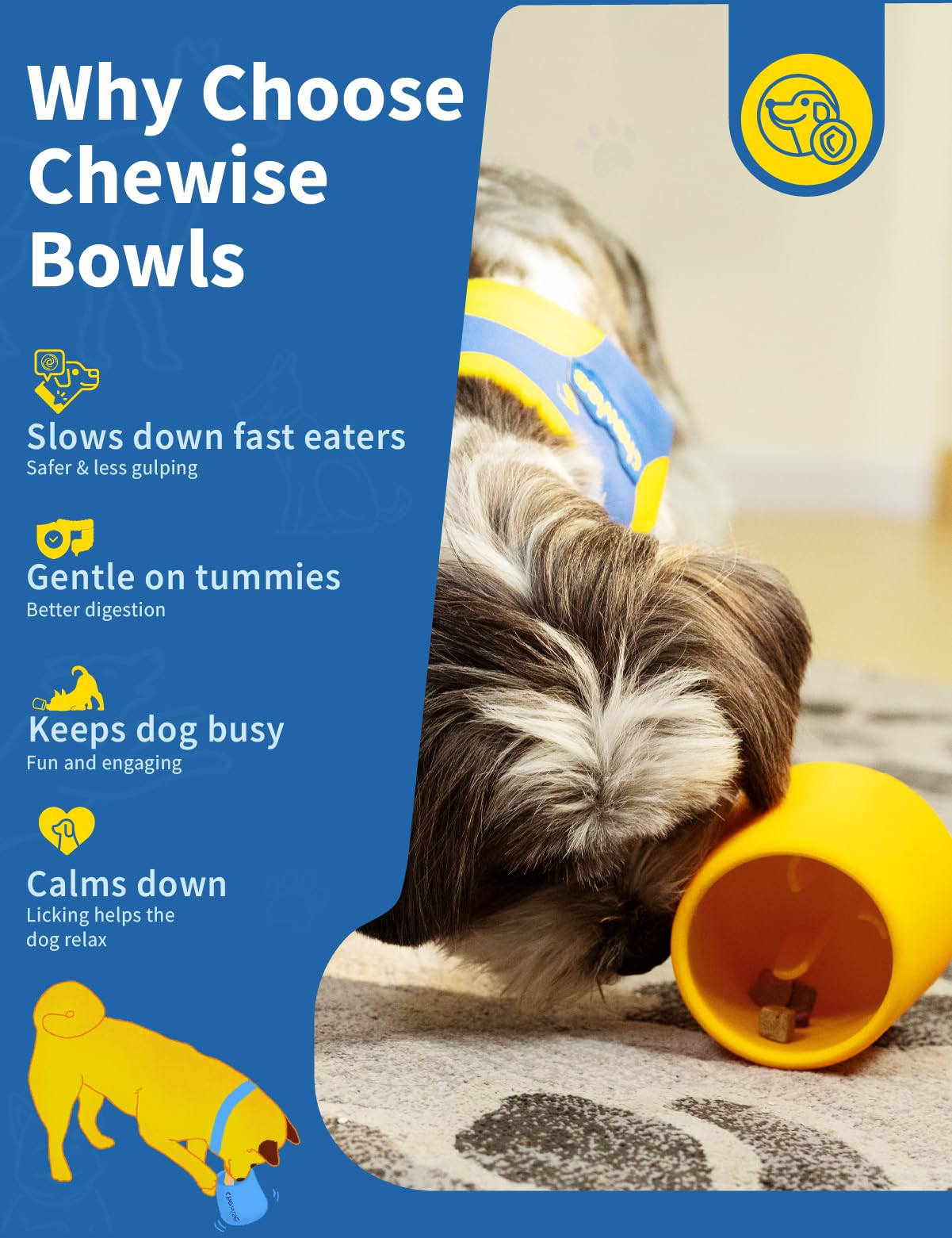 Chewise nettoyage simple: compatible lave-vaisselle pour un entretien pratique.