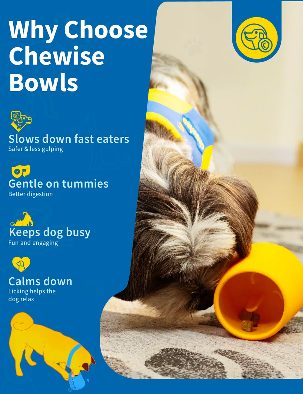 Chewise nettoyage simple: compatible lave-vaisselle pour un entretien pratique.