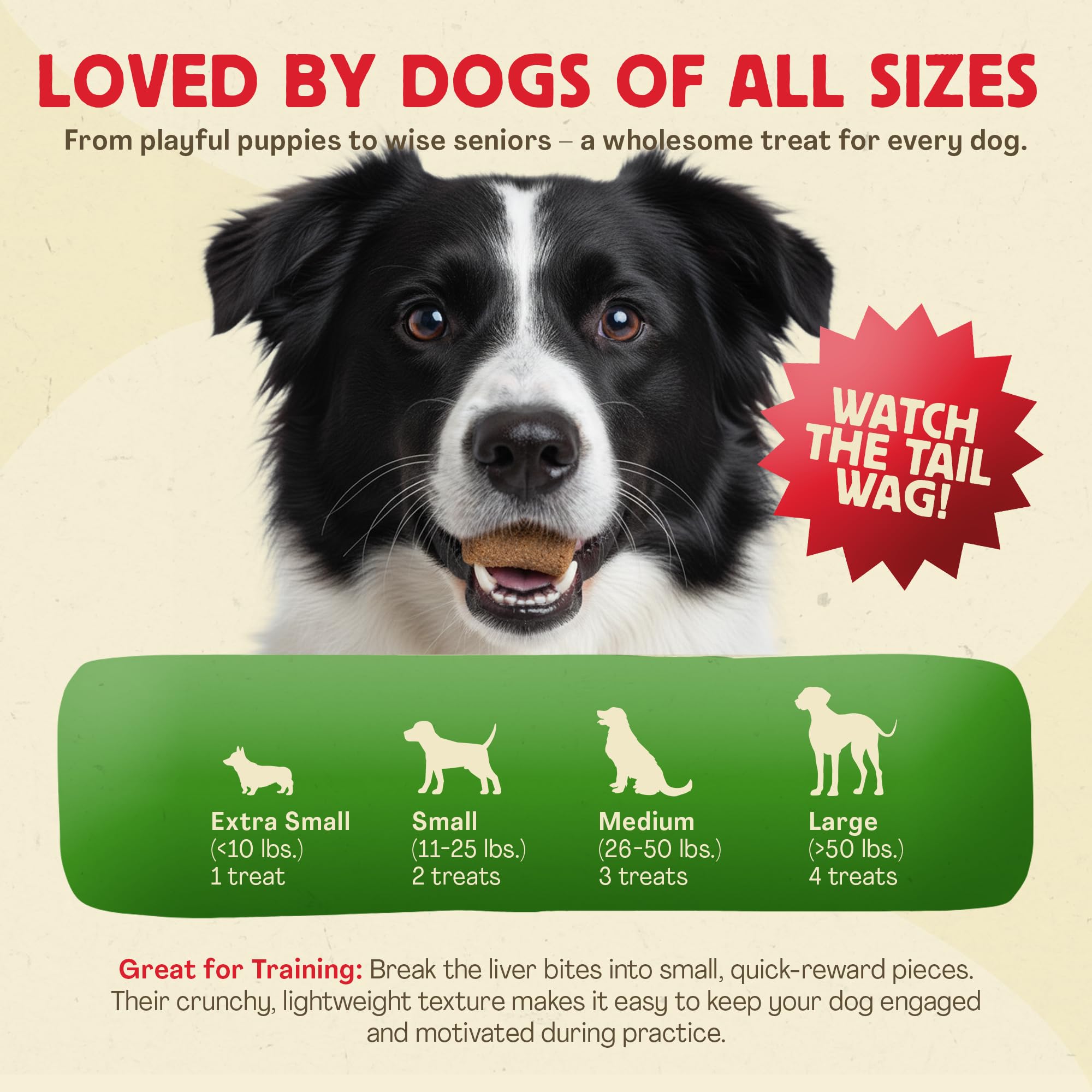 Friandises sans grains Chewmasters adaptées aux chiens sensibles.