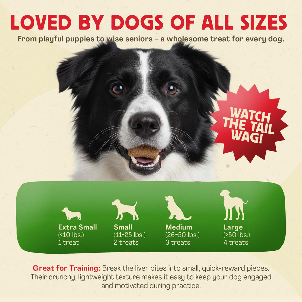 Friandises sans grains Chewmasters adaptées aux chiens sensibles.