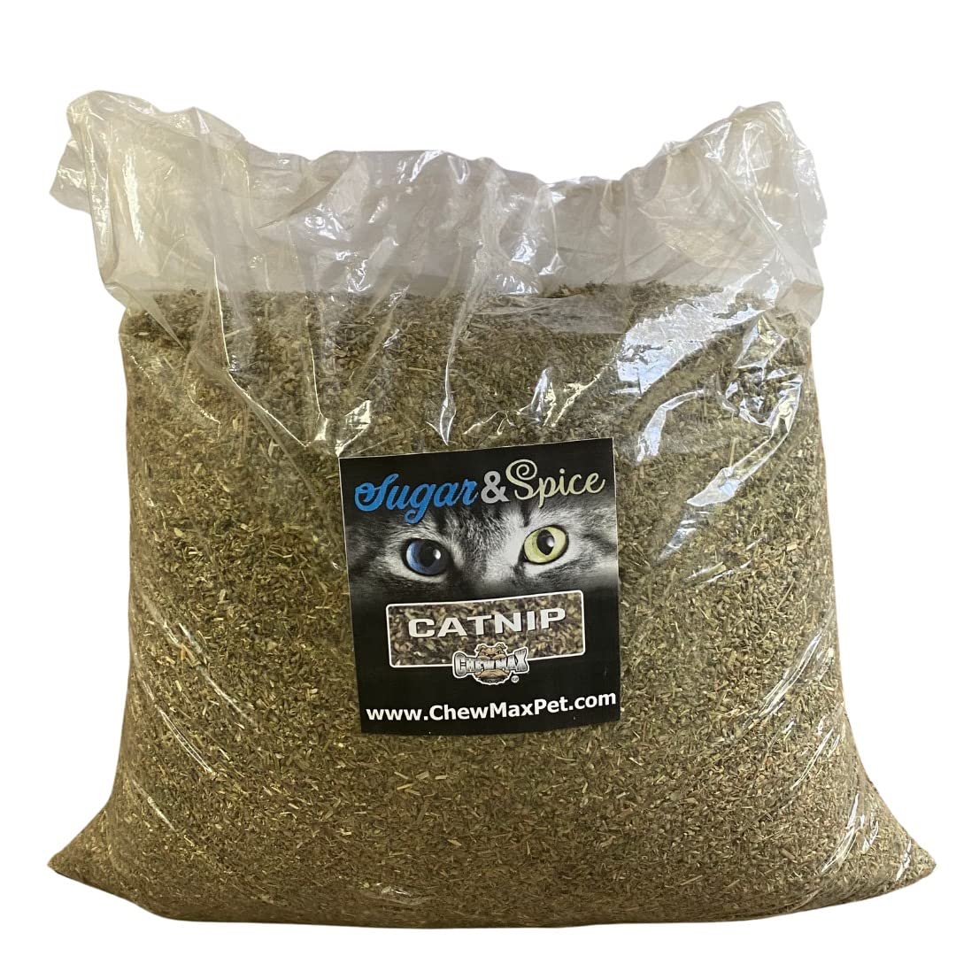 CHEWMAX herbe à chat dans sachet de 5 livres, plaisir naturel.