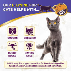 Chewy Max Lysine: etiquette produit, présentation claire et ingrédients.