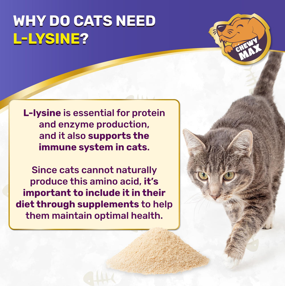 Chewy Max Lysine: pipette gouttes chat, administration facile sur nourriture.