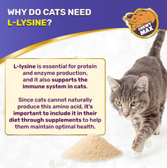 Chewy Max Lysine: pipette gouttes chat, administration facile sur nourriture.