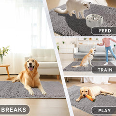 Tapis ChgLiPets absorbant l'eau rapidement pour les retours de promenade.