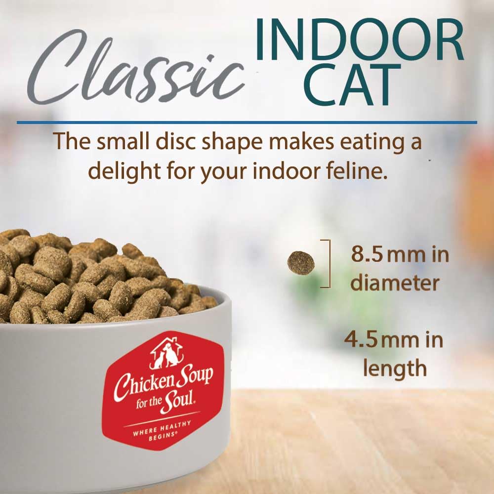 Chat intérieur Chicken Soup for the Soul, quatre protéines animales réelles pour les muscles.