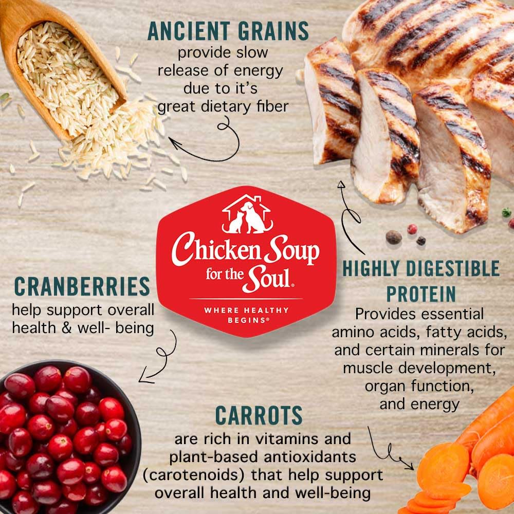 Chicken Soup for the Soul – fabriqué aux États-Unis avec des ingrédients de qualité.