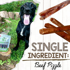 Chien heureux mordant Nature Gnaws pour se divertir.