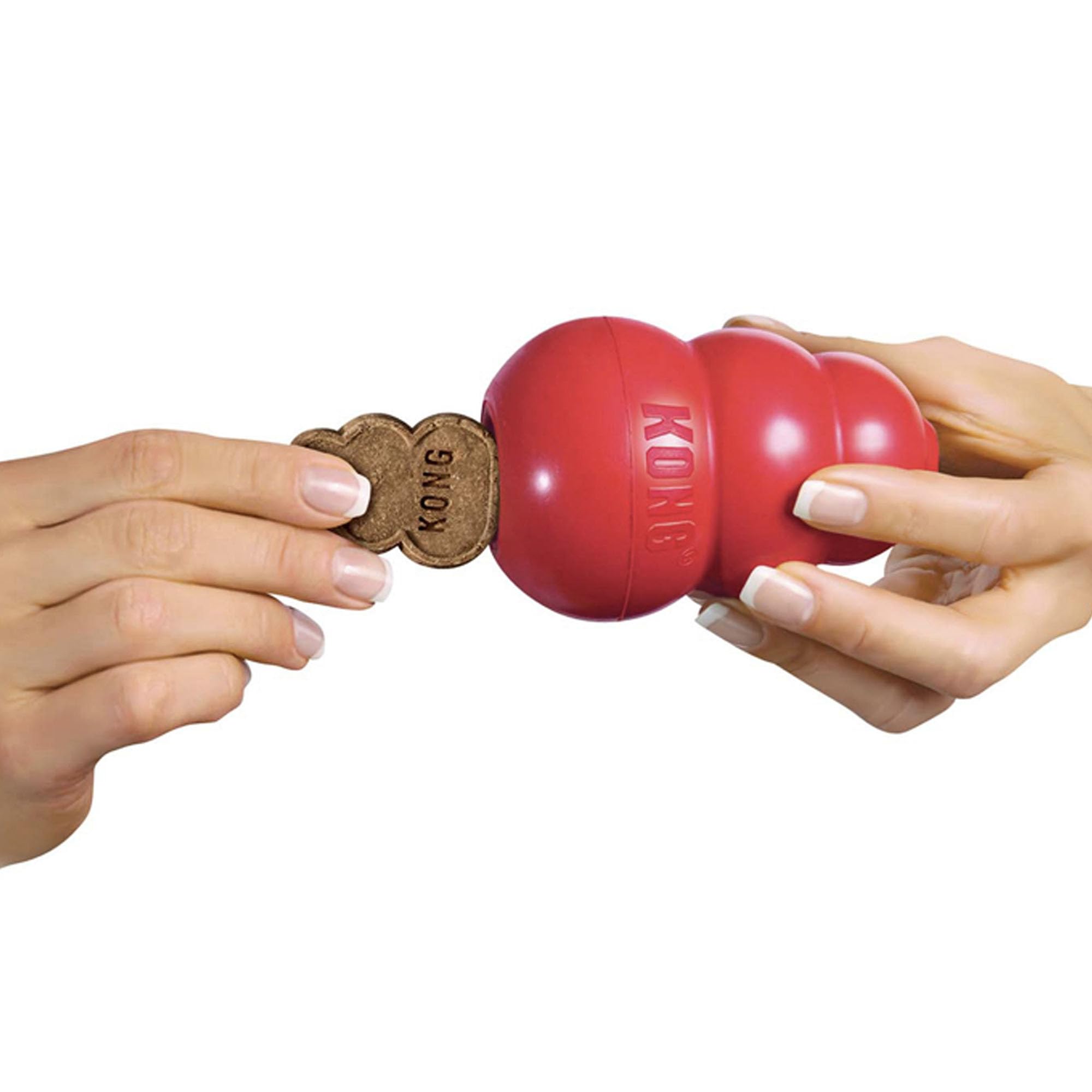 Chien jouant avec Kong Easy Treat rempli: jeu interactif et récompense savoureuse.