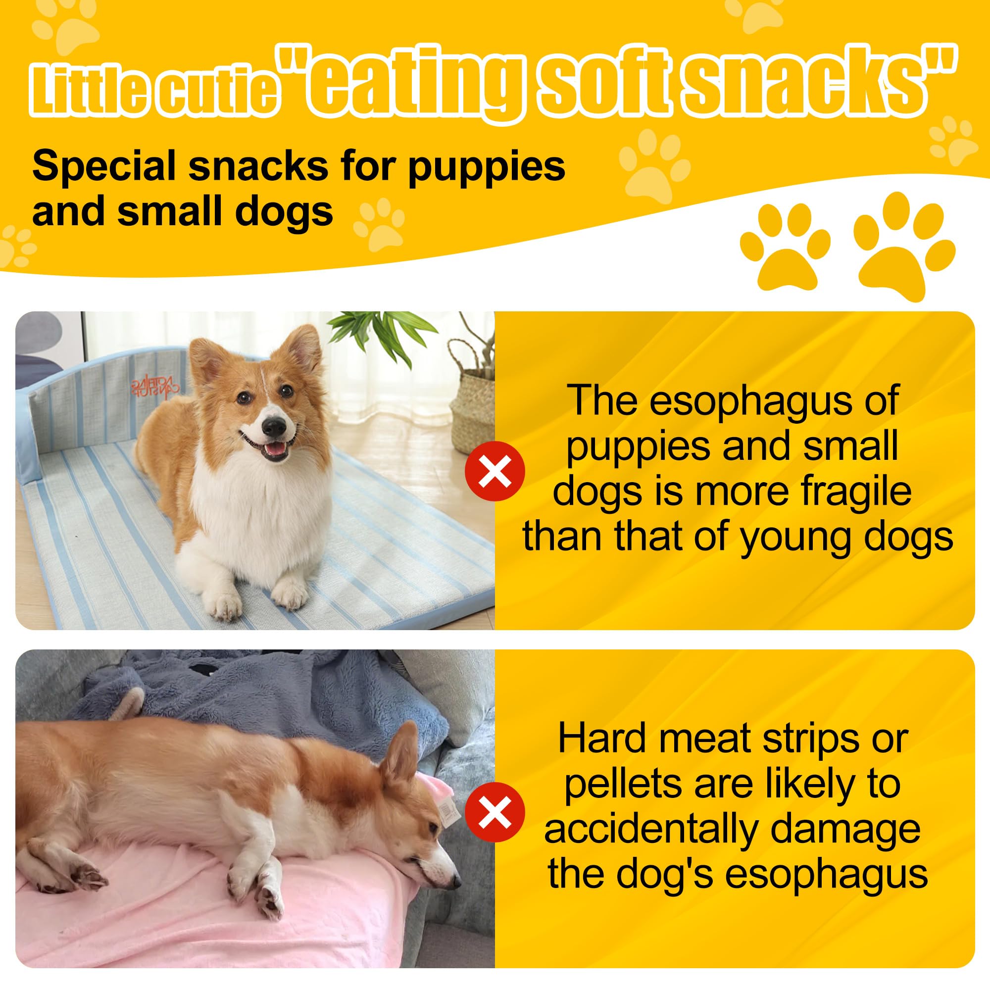 Chienmily faible en gras, snack léger pour chiens actifs.