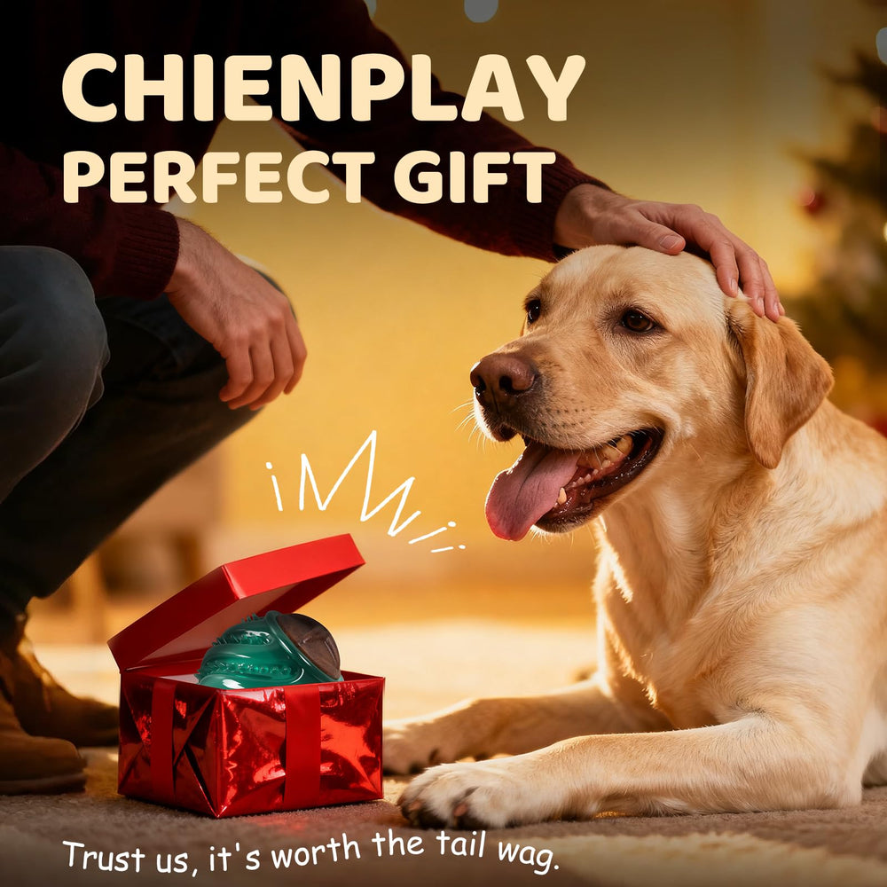 ChienPlay cadeau idéal pour chien lors d'occasions spéciales.